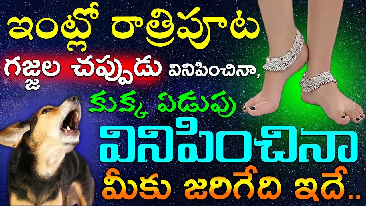 ఇంట్లో రాత్రిపూట గజ్జల చప్పుడు వినిపించినా,కుక్క ఏడుపు వినిపించినా మీకు జరిగేది ఇదే.